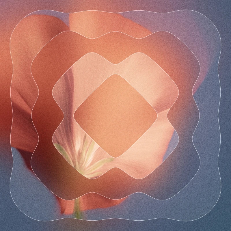 Voice Library Graphic 1